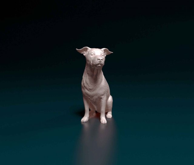Jack Russell sitting Modello di stampa 3D .c4d .max .obj .3ds .fbx .stl .blend 