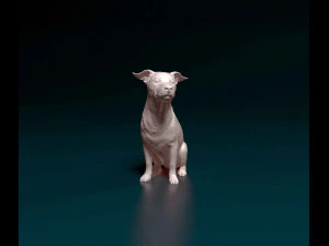 Jack Russell sentado Modelo de Impressão 3D