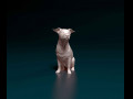 Jack Russell sitting 3D प्रिंट मॉडल