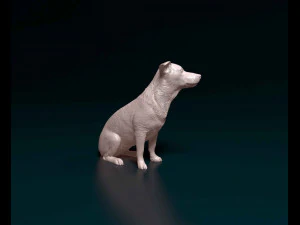 Jack Russell sitting 3D Print Model