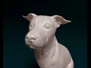 Jack Russell sitting 3D Print Model