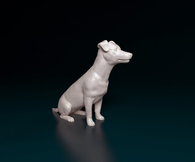 Jack Russell sitting 2 3Dプリントモデル .c4d .max .obj .3ds .fbx .stl .blend 