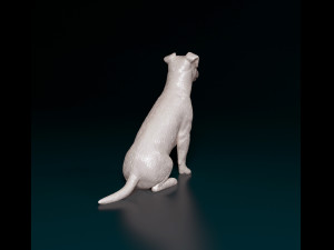 Jack Russell sitting 2 3Dプリントモデル
