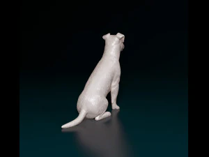 Jack Russell sitting 2 3D Print Model