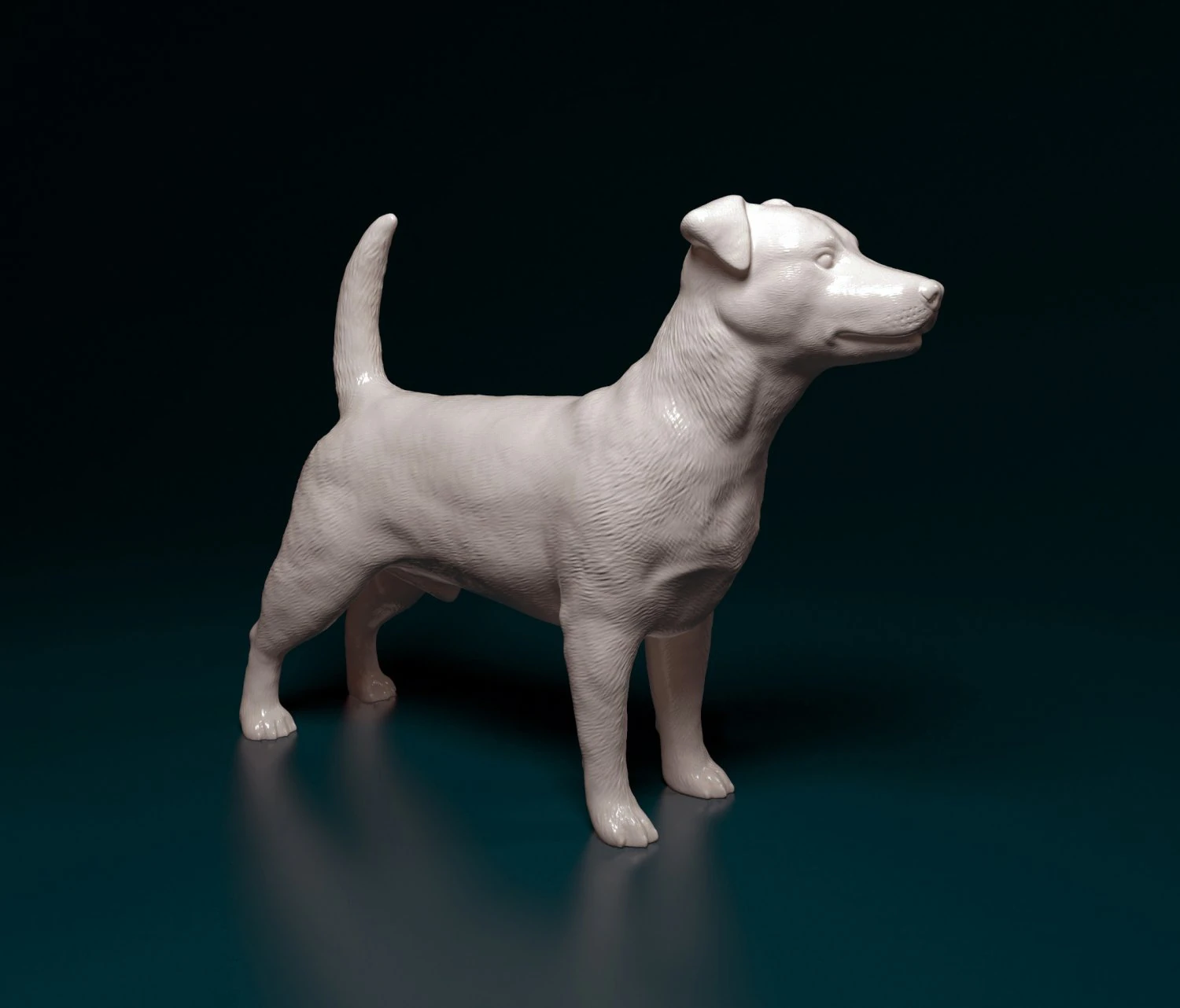 Jack Russell terrier 3D Print Model .c4d .max .obj .3ds .fbx .stl .blend 