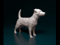 Jack Russell terrier 3D प्रिंट मॉडल