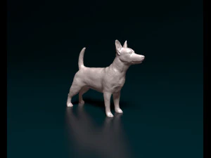 Jack Russell terrier 3D Print Model