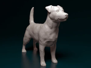 Jack Russell terrier 3D Print Model