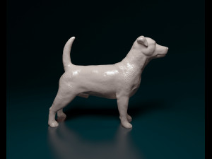 Jack Russell terrier Modello di stampa 3D