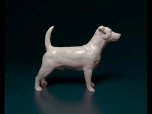 Jack Russell terrier 3D Print Model