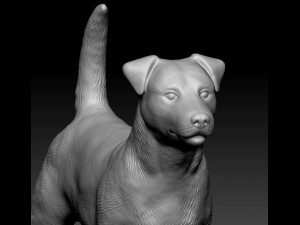 Jack Russell terrier Modello di stampa 3D