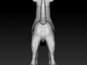 Jack Russell terrier Modello di stampa 3D
