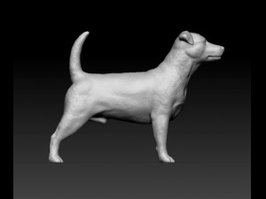 Jack Russell terrier Modello di stampa 3D