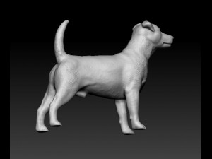Jack Russell terrier Modello di stampa 3D