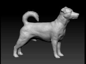 Jack Russell terrier Modello di stampa 3D