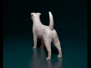 Jack Russell terrier 3D Print Model
