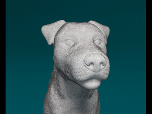 Jack Russell terrier Modello di stampa 3D