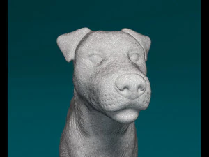 Jack Russell terrier 3D Print Model