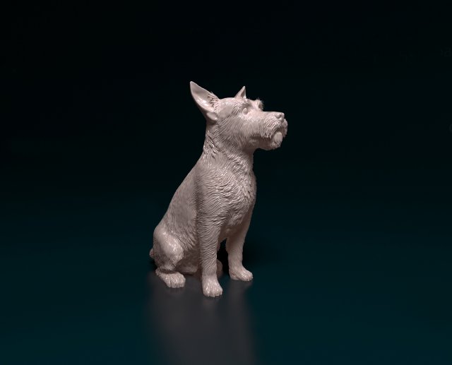Jack Russell wire-haired 3D Принт Модель .c4d .max .obj .3ds .fbx .stl .blend 