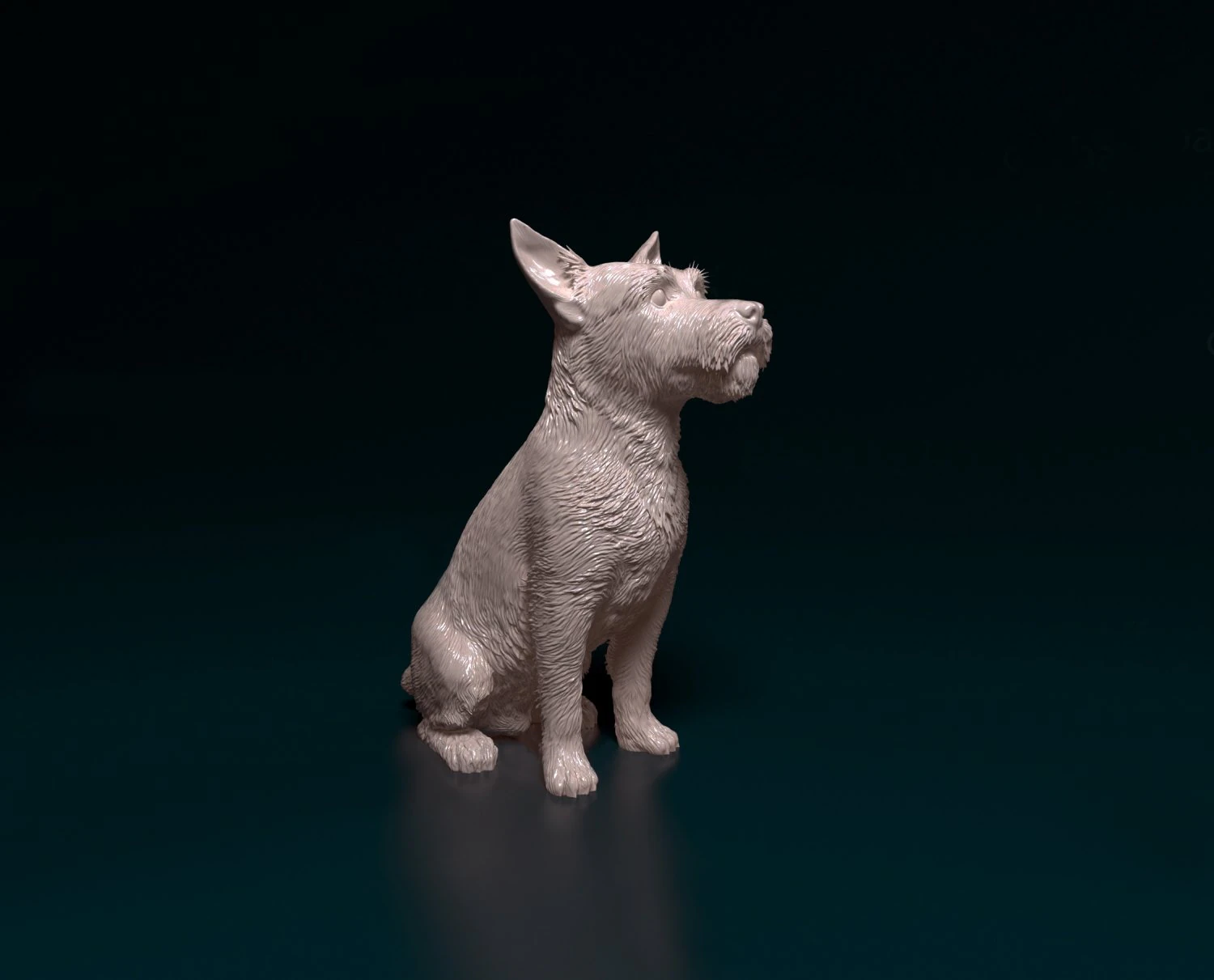 Jack Russell wire-haired 3D Print Model .c4d .max .obj .3ds .fbx .stl .blend 