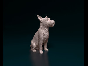 Jack Russell wire-haired 3D Print Model