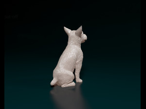 Jack Russell wire-haired 3D Принт Модель