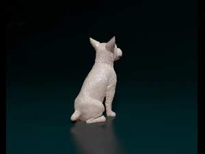 Jack Russell wire-haired 3D Print Model
