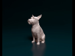 Jack Russell wire-haired 3D Принт Модель