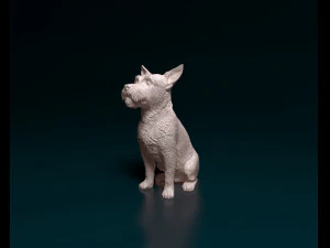 Jack Russell wire-haired 3D Print Model