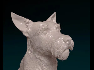Jack Russell wire-haired 3D Print Model