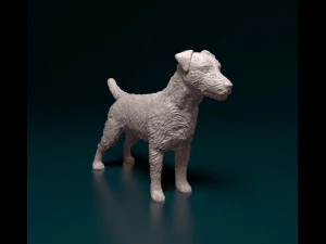 Jagdterrier 3D Print Model