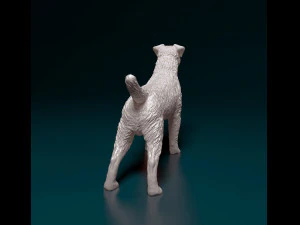Jagdterrier 3D Print Model