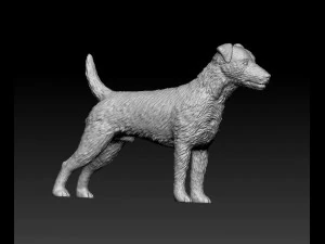 Jagdterrier 3D Print Model