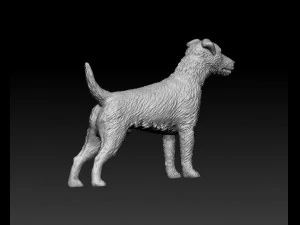 Jagdterrier 3D Print Model