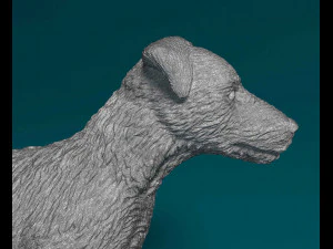 Jagdterrier 3D Print Model