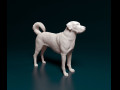 Kangal Shepherd 3D प्रिंट मॉडल