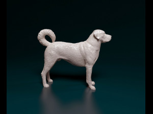 Kangal Shepherd Modelo de impresión 3D