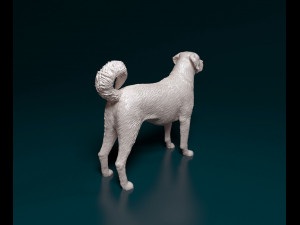 Kangal Shepherd Modelo de impresión 3D