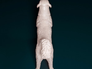 Kangal Shepherd Modelo de impresión 3D