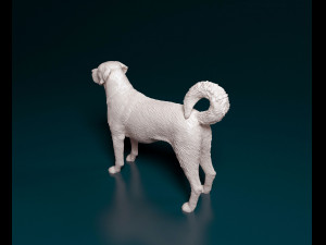 Kangal Shepherd Modelo de impresión 3D