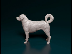 Kangal Shepherd Modelo de impresión 3D