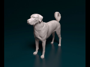 Kangal Shepherd Modelo de impresión 3D