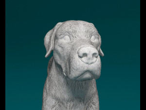 Kangal Shepherd Modelo de impresión 3D
