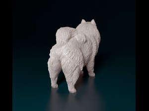 Keeshond 3D Print Model