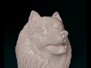 Keeshond 3D Print Model