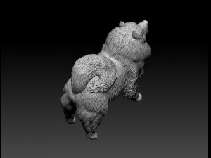 Keeshond 3D Print Model