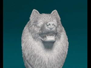 Keeshond 3D Print Model