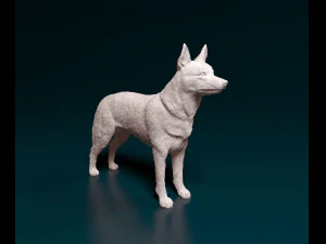 ケルピー 3Dプリントモデル