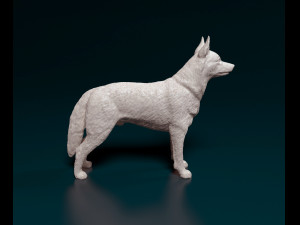 Kelpie 3Dプリントモデル