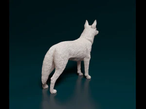 Kelpie 3D Print Model